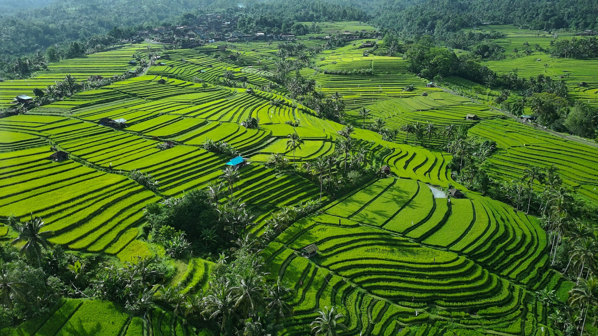 The Jatiluwih rice terraces of Bali