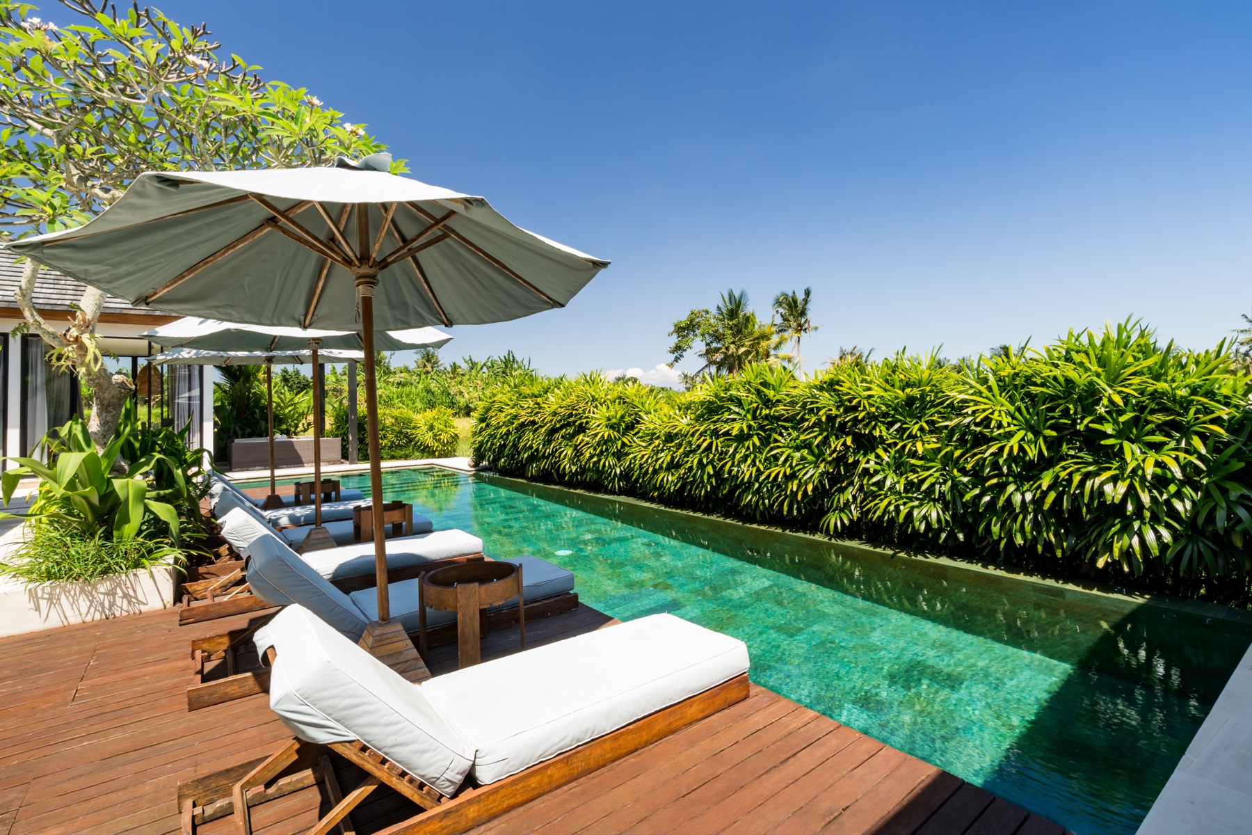 Poolside afternoons