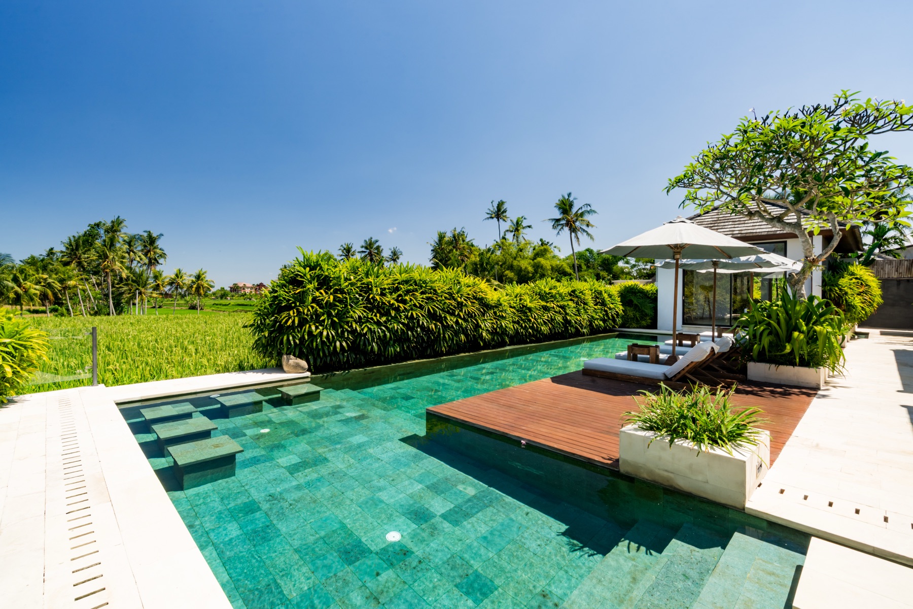 Infinity pool, open to the paddy